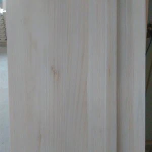 Πάνελ Paulownia